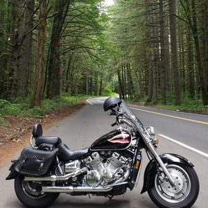 Meet your Posher, Leon